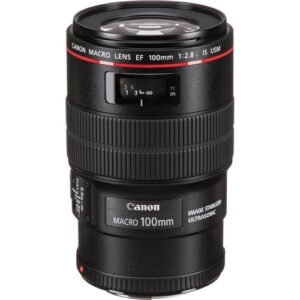 Canon 100mm Macro f/2.8 L IS USM